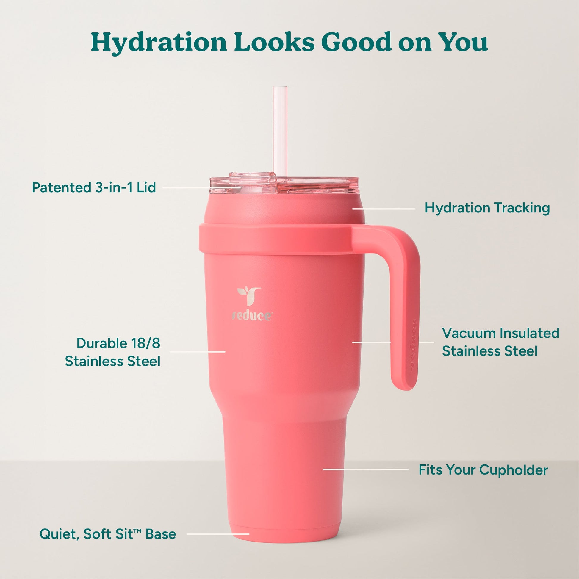 cold1-40-oz-l2 Cold1_40oz_Daiquiri_Infographic_2.jpg