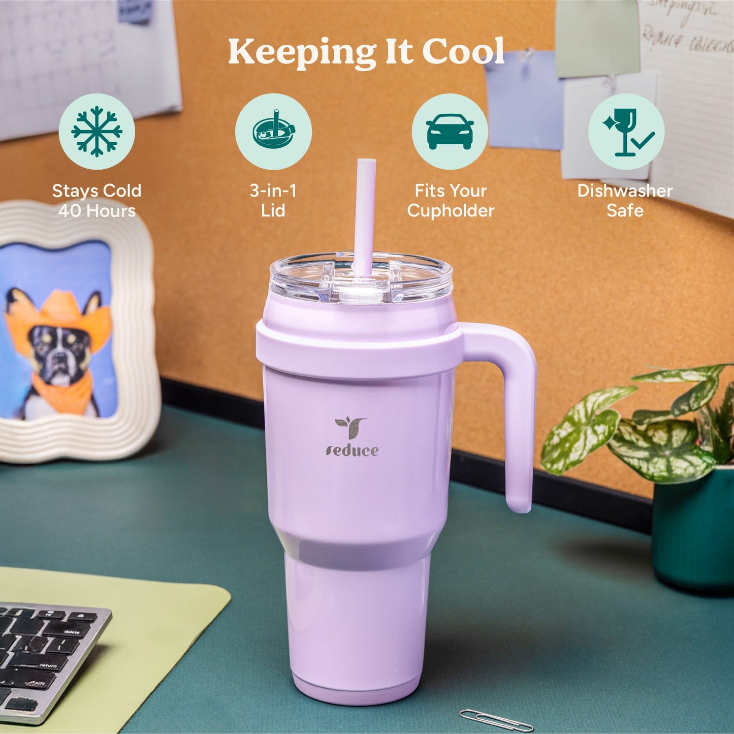 cold1-40-oz-l2 Cold1_40oz_LilacBud_Infographic_1.jpg