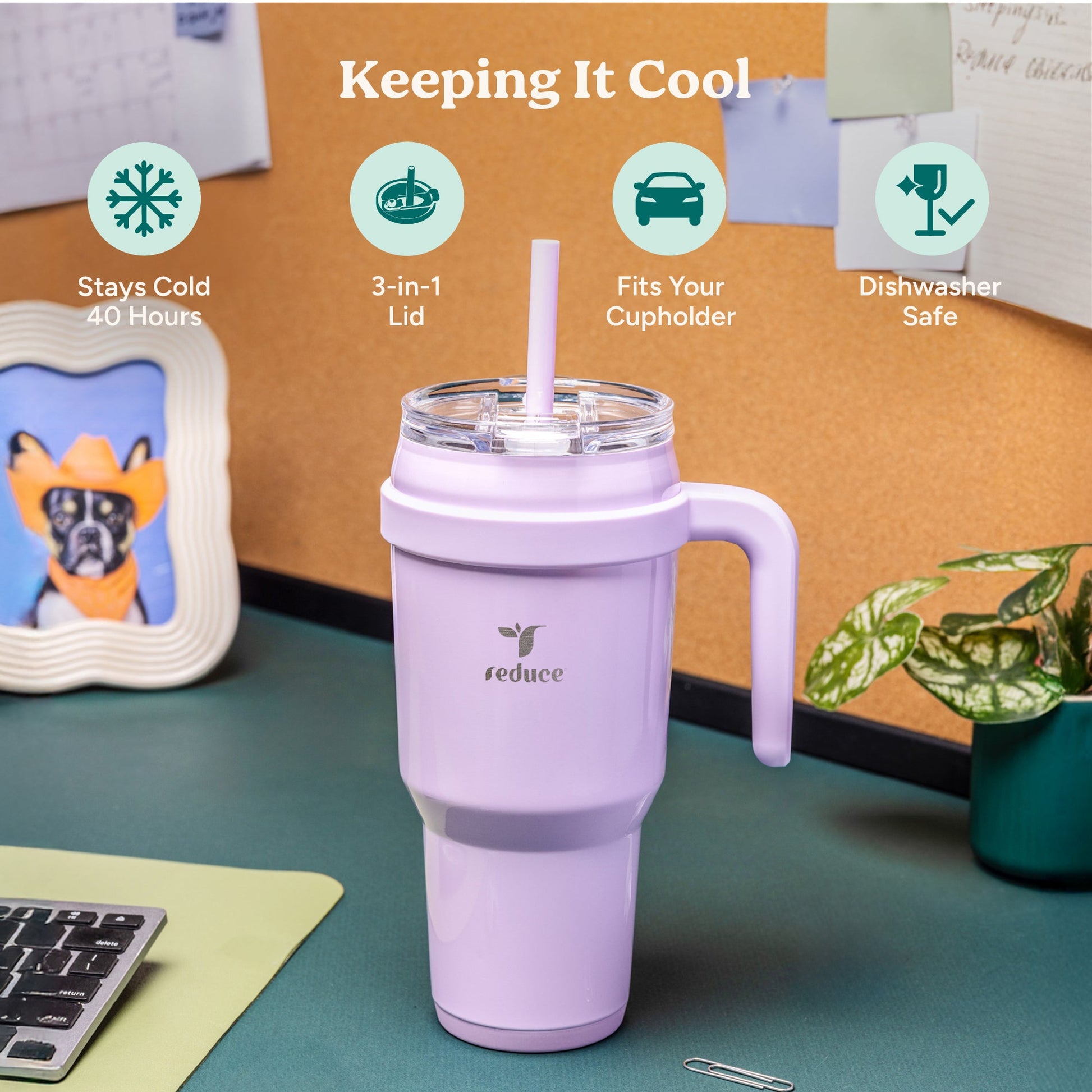 cold1-40-oz-l2 Cold1_40oz_PalmLeaf_Infographic_1.jpg