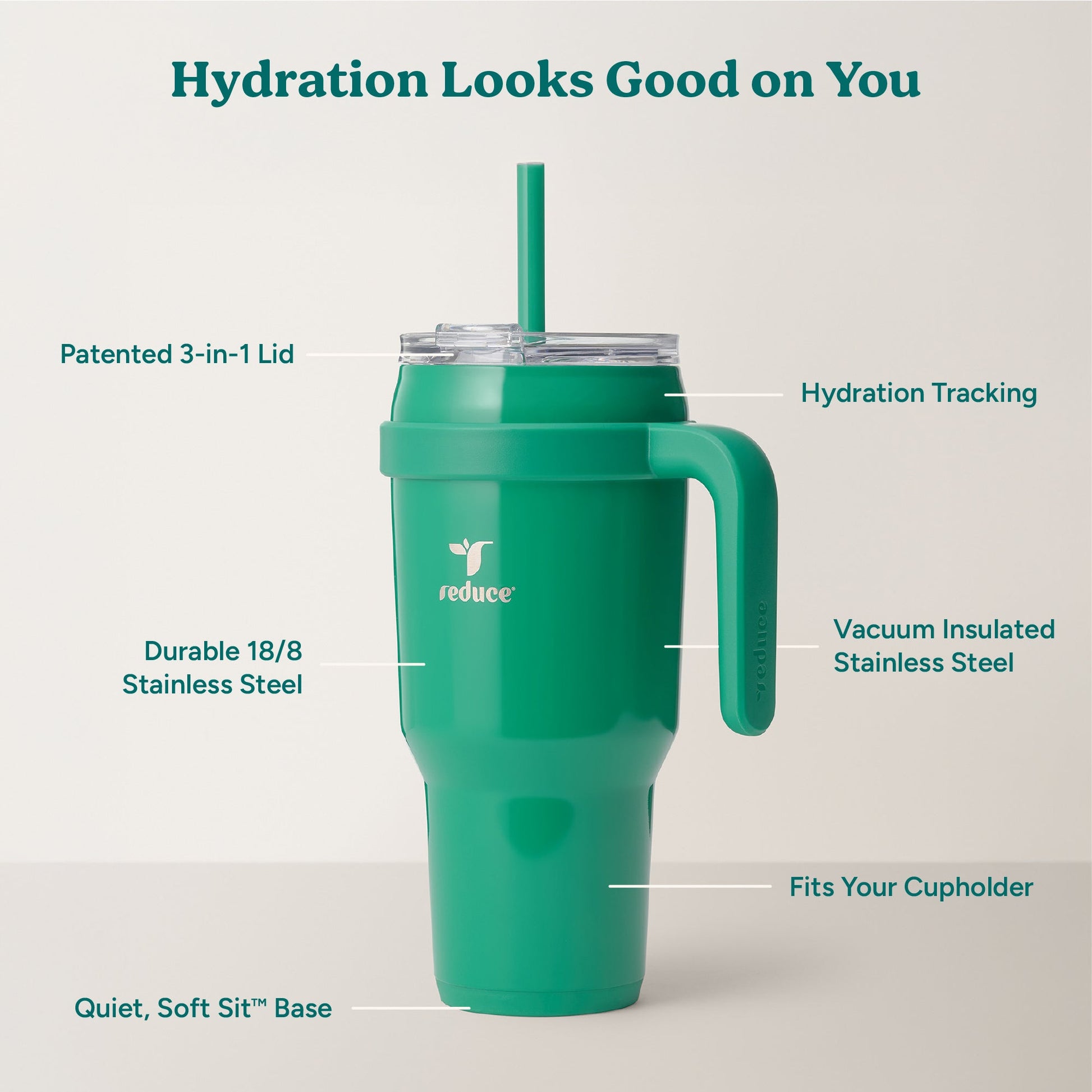 cold1-40-oz-l2 Cold1_40oz_PalmLeaf_Infographic_2.jpg