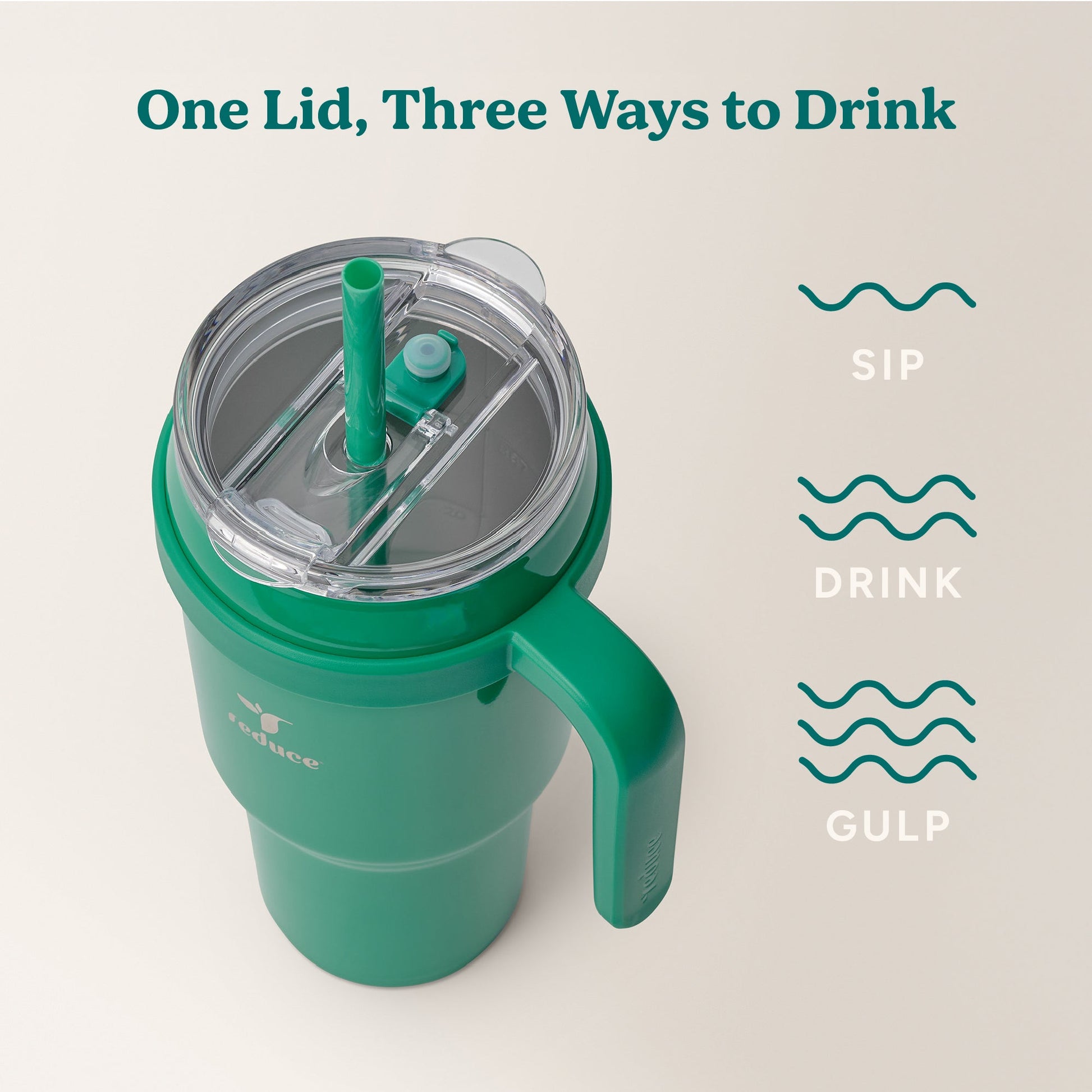 cold1-40-oz-l2 Cold1_40oz_PalmLeaf_Infographic_3.jpg
