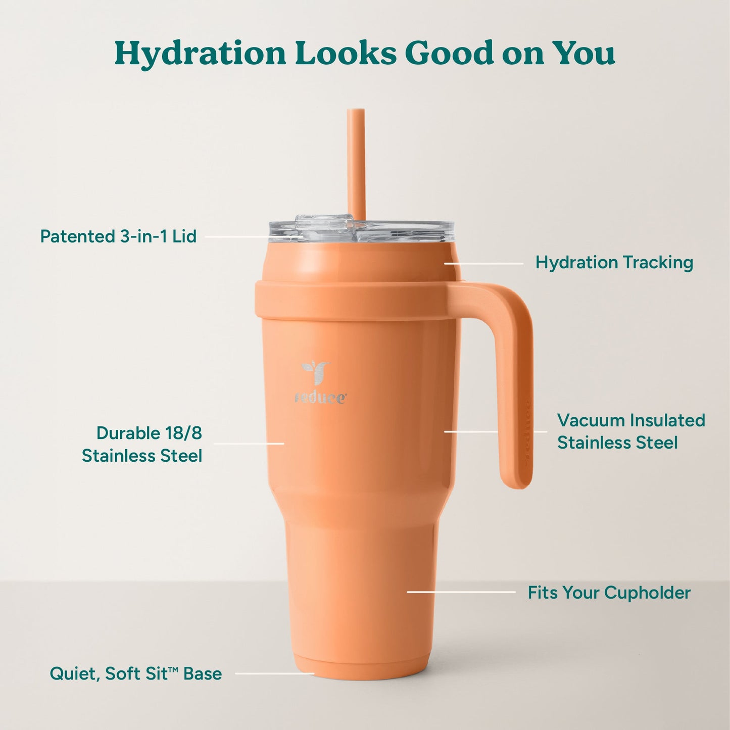 cold1-40-oz-l2 Cold1_40oz_Papaya_Infographic_2.jpg