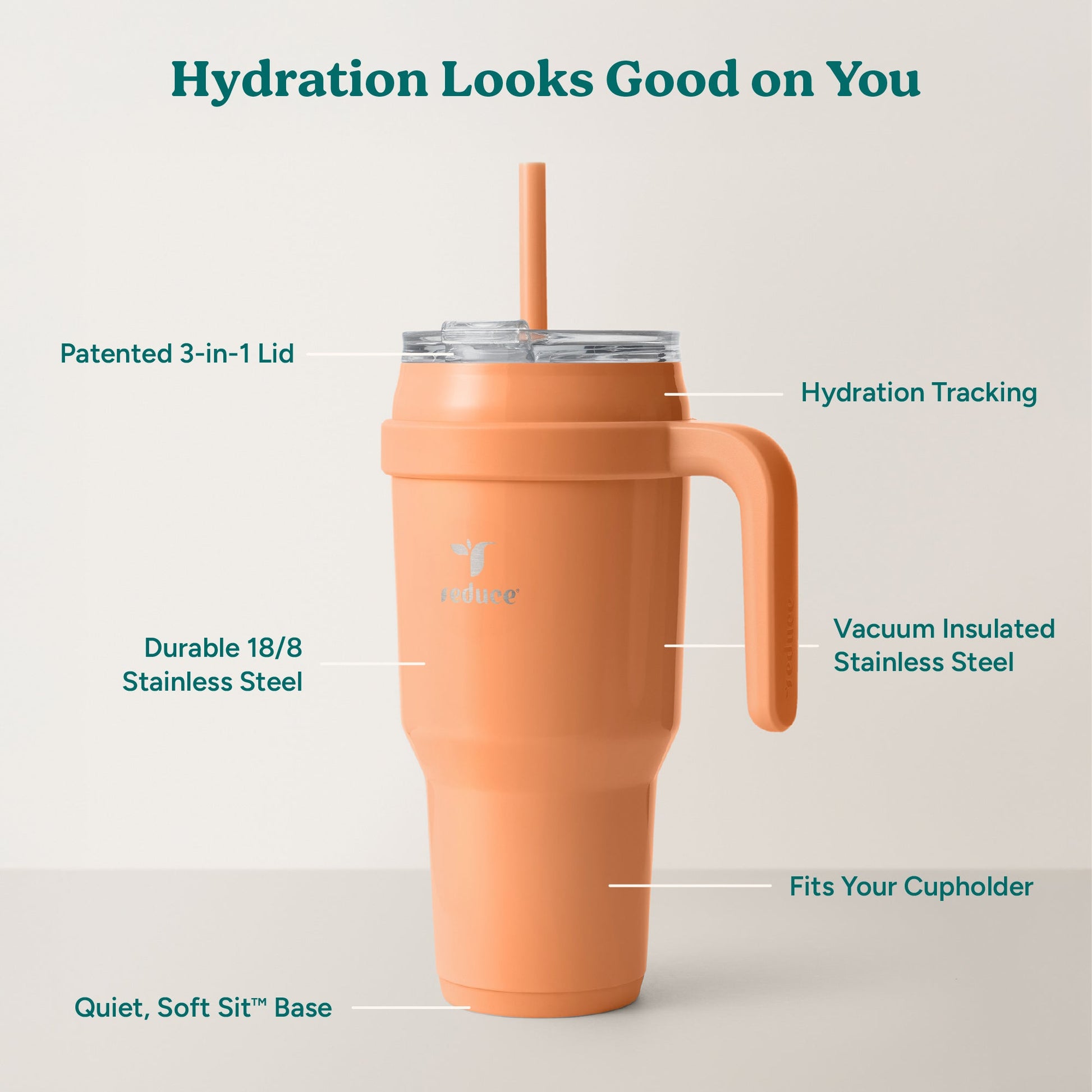 cold1-40-oz-l2 Cold1_40oz_Papaya_Infographic_2.jpg